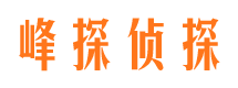 合作市婚外情调查